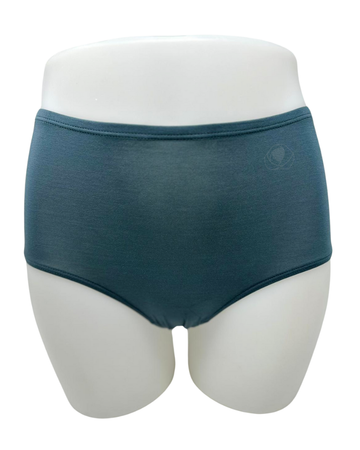 SHE S301PLS Lichen Modal Briefs with Elastic Waist Plus Sizes 3 Pack myselflingerie.com